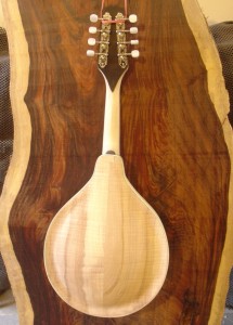 A model Infinity Mandolin in the white.