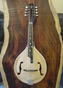 A model Infinity Mandolin in the white.