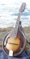 Infinity Luthiers A-Model Mandolin - 'Eleven'